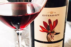 エスターハージー Esterhazy ワイングロッサリー