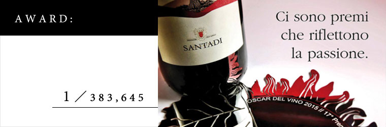 1位 38万社 南イタリアの至宝 サンターディ ワイングロッサリー