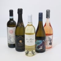 8月のエリア担当おすすめワイン🍷